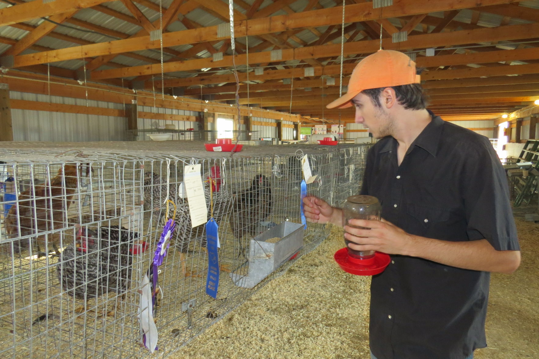 Aidan Bagwell waters his chickens at the Jefferson County Fair Saturday morning.